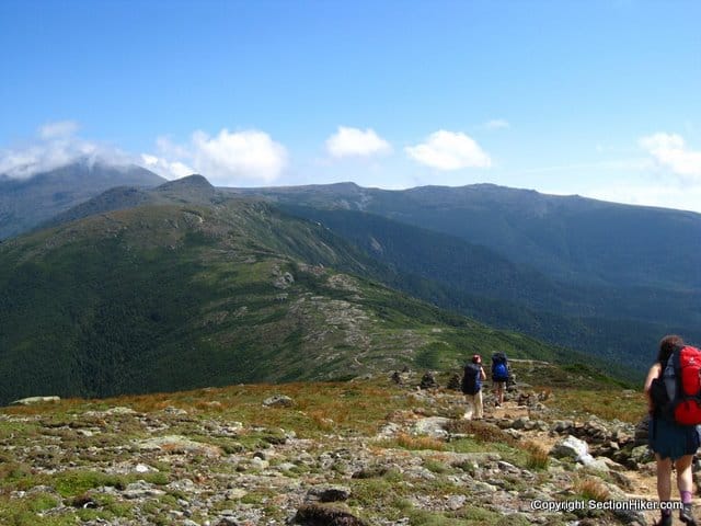 Southern Presidentials