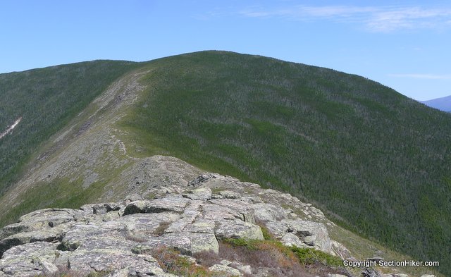 Mount Bond, the highest peak in The Bonds Group