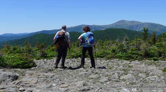 Great View of Mt Washington from the Rainbow Trail