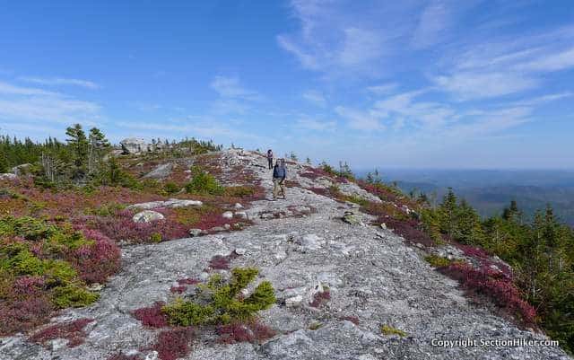 Meader Ridge Trail