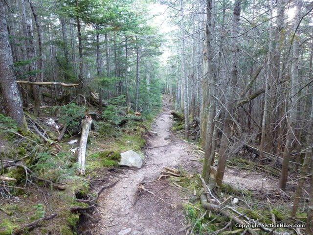 Follow the Osseo Trail descending steeply via wooden ladders at points