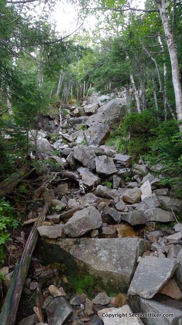 Garfield Ridge Trail below shelter