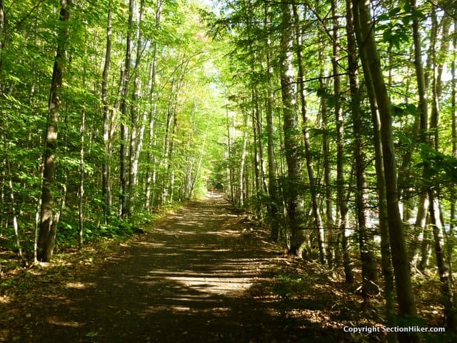 The Lincoln Woods Trail is a major access trail leading into the Pemigewasset Wilderness