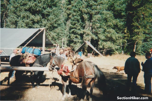 Pack animals were loaded with game and gear for basecamp hunting