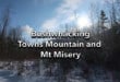 Towns Mountain and Mt Misery