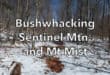 Bushwhacking Sentinel Mountain and Mt Mist