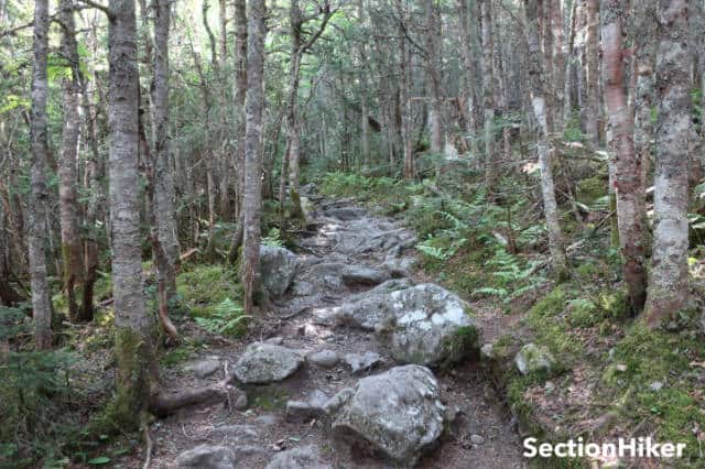 The Jewell Trail is quite moderate when compared to the Tuckerman Ravine Trail.