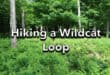 Hiking a Wildcat Loop