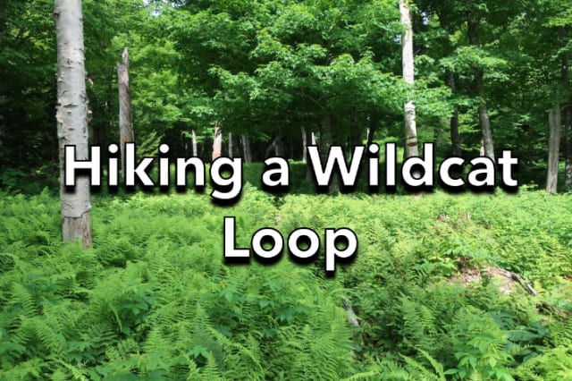 Hiking a Wildcat Loop