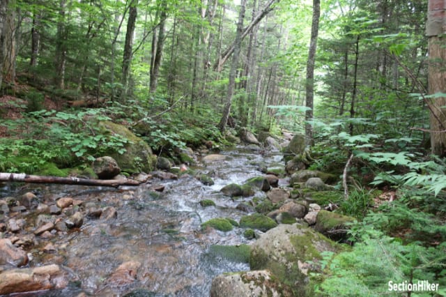 The Wildcat River is a small but beautiful stream.