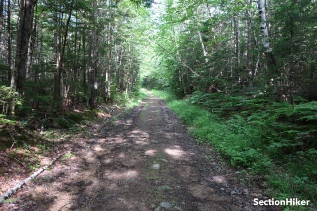 The beginning of the Wildcat Valley Trail (also called the Halls Ledge Trail)