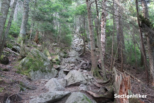 White Mountains Trails are rocky and steep