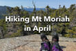 Hiking Mt Moriah in April