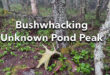 Bushwhacking Unknown Pond Peak